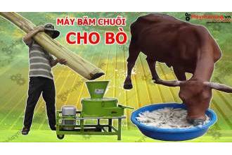 Máy băm thái chuối Okasu TK 2019 đa năng chất lượng